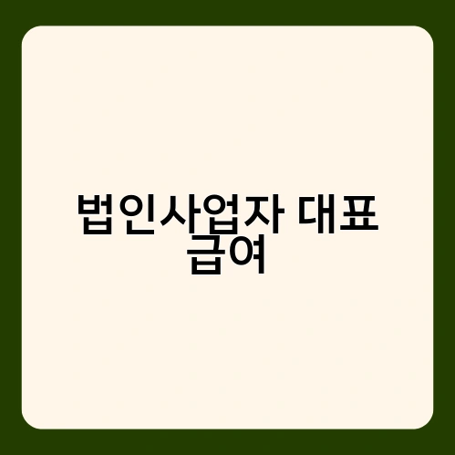 법인사업자 대표 급여 1