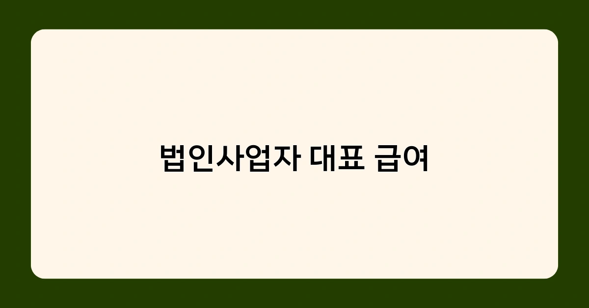 법인사업자 대표 급여