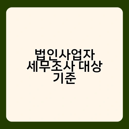 법인사업자 세무조사 대상 기준 3