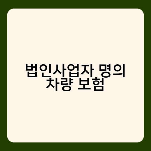 법인사업자 명의 차량 보험 2