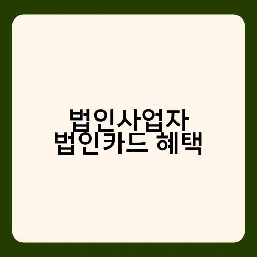 법인사업자 법인카드 혜택 2