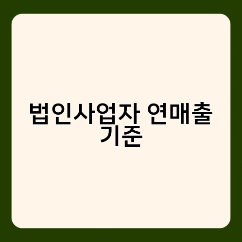 법인사업자 연매출 기준 1