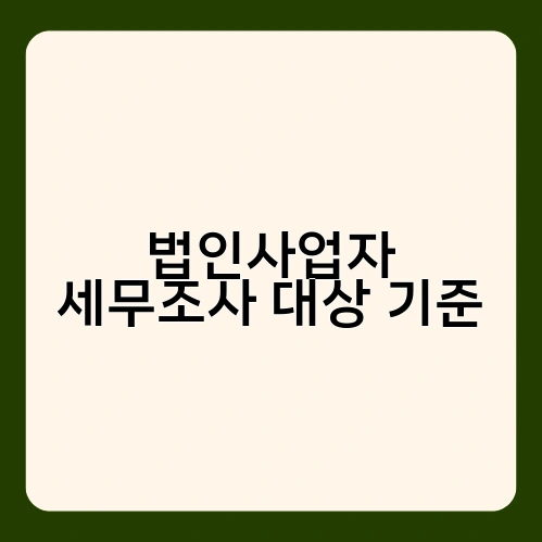 법인사업자 세무조사 대상 기준