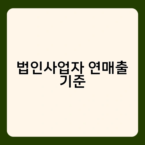 법인사업자 연매출 기준 2
