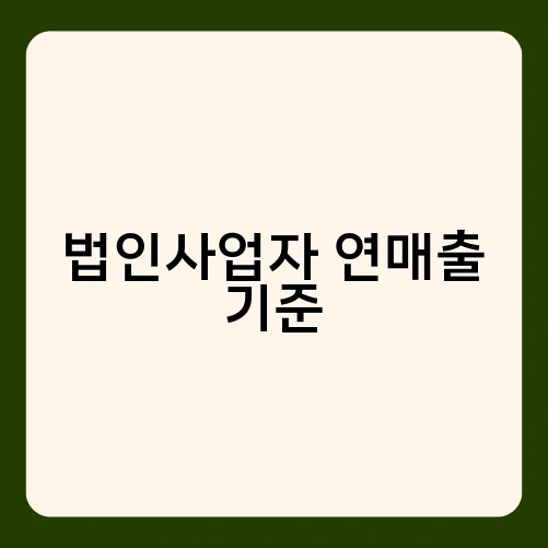 법인사업자 연매출 기준 3