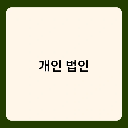 개인 법인 3
