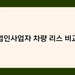 법인사업자 차량 리스 비교, 어떤 옵션이 가장 유리할까?