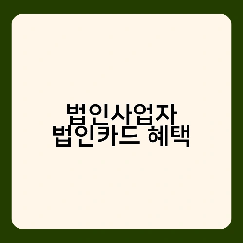 법인사업자 법인카드 혜택