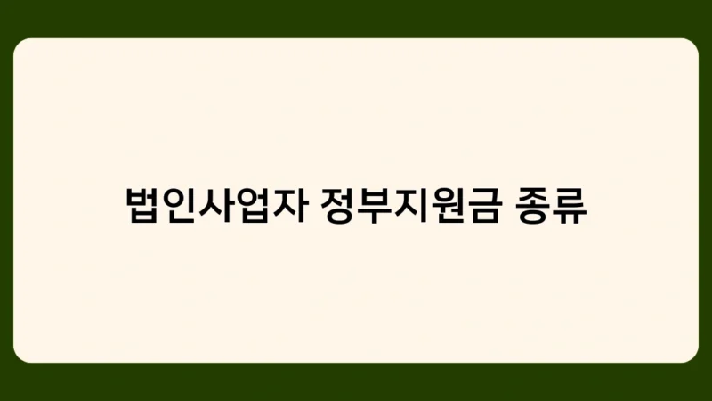 법인사업자 정부지원금 종류별 장단점 비교, 어떤 것이 좋을까?